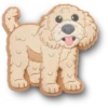 «B’golden Doodle Puppy Jibbitz-Schuhanhänger» «B’golden Doodle Puppy Jibbitz-Schuhanhänger»