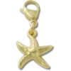 Goldener Seestern-Jibbitz-Anstecker Goldener Seestern-Jibbitz-Anstecker