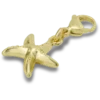 Goldener Seestern-Jibbitz-Anstecker Goldener Seestern-Jibbitz-Anstecker