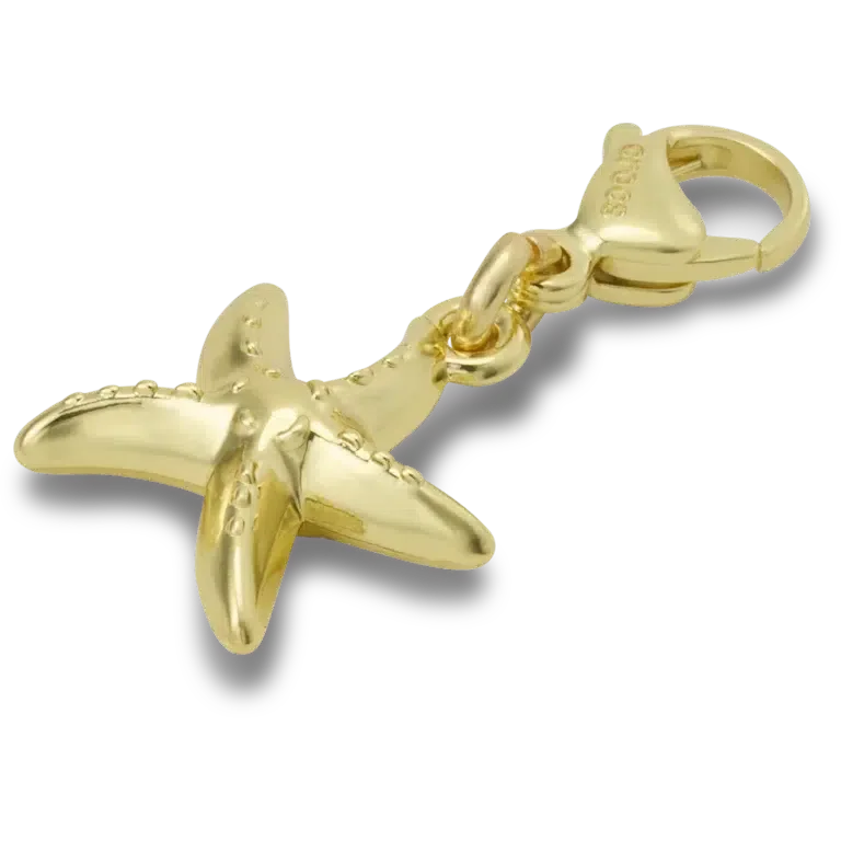 Goldener Seestern-Jibbitz-Anstecker Goldener Seestern-Jibbitz-Anstecker