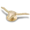 Goldener Stier-Jibbitz™-Anstecker