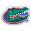 Jibbitz-Anstecker der University of Florida
