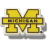 Jibbitz-Anstecker der University of Michigan