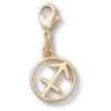 Jibbitz-Anstecker «Schütze»