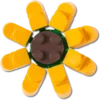 Lego®-Sonnenblume-Jibbitz-Anstecker Lego®-Sonnenblume-Jibbitz-Anstecker